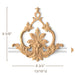 Cartouche with Acanthus Filigree, 8 3/4"w x 9 3/8"h x 13/16"d Carved Cartouche White River Hardwoods 8 3/4"w x 9 3/8"h x 13/16"d Beech 