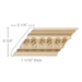Acanthus Leaf & Coin, 1 1/16"w X 8 1/2"d Cornice Mouldings White River Hardwoods Poplar Linear Foot - Random Lengths: 3'-16'