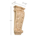 Large Acanthus Corbel, 6 1/2"w x 15"h x 2 1/2"d Carved Corbels White River Hardwoods Maple  